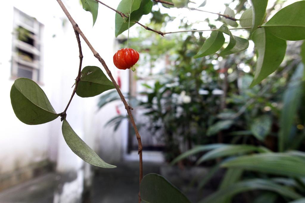 Acomodação com café da manhã  Casa Em Meio A Natureza - Ideal Casal *